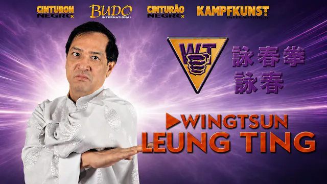Wing Tsun Right or Wrong? by Leung Ting