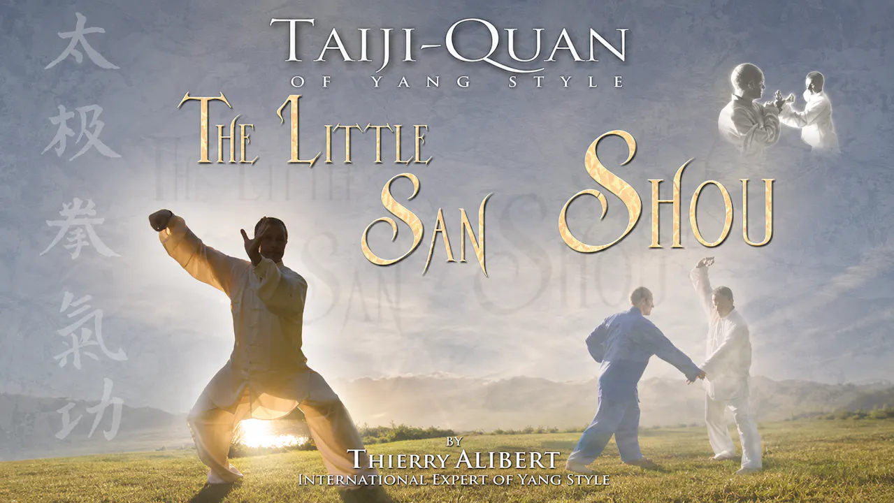 Yang Style Taiji-Quan San Shou by Thierry Alibert