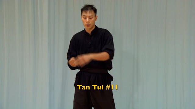 Shaolin Kung Fu Advanced 1.59