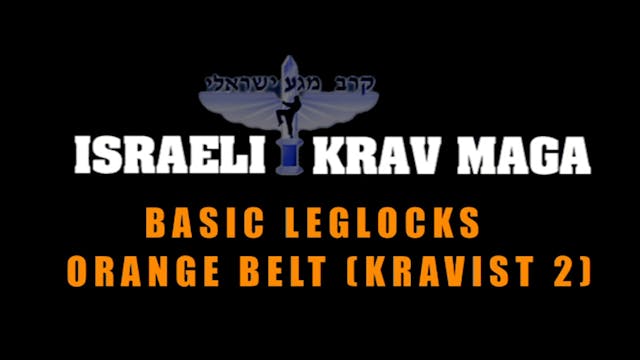 Krav Maga Combatives 3.5