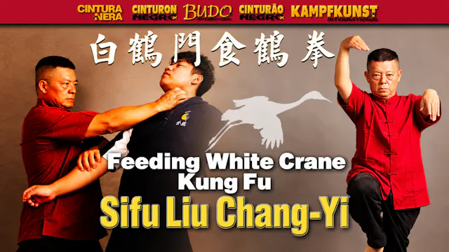 Feeding White Crane Kung Fu by Liu Chang-Yi