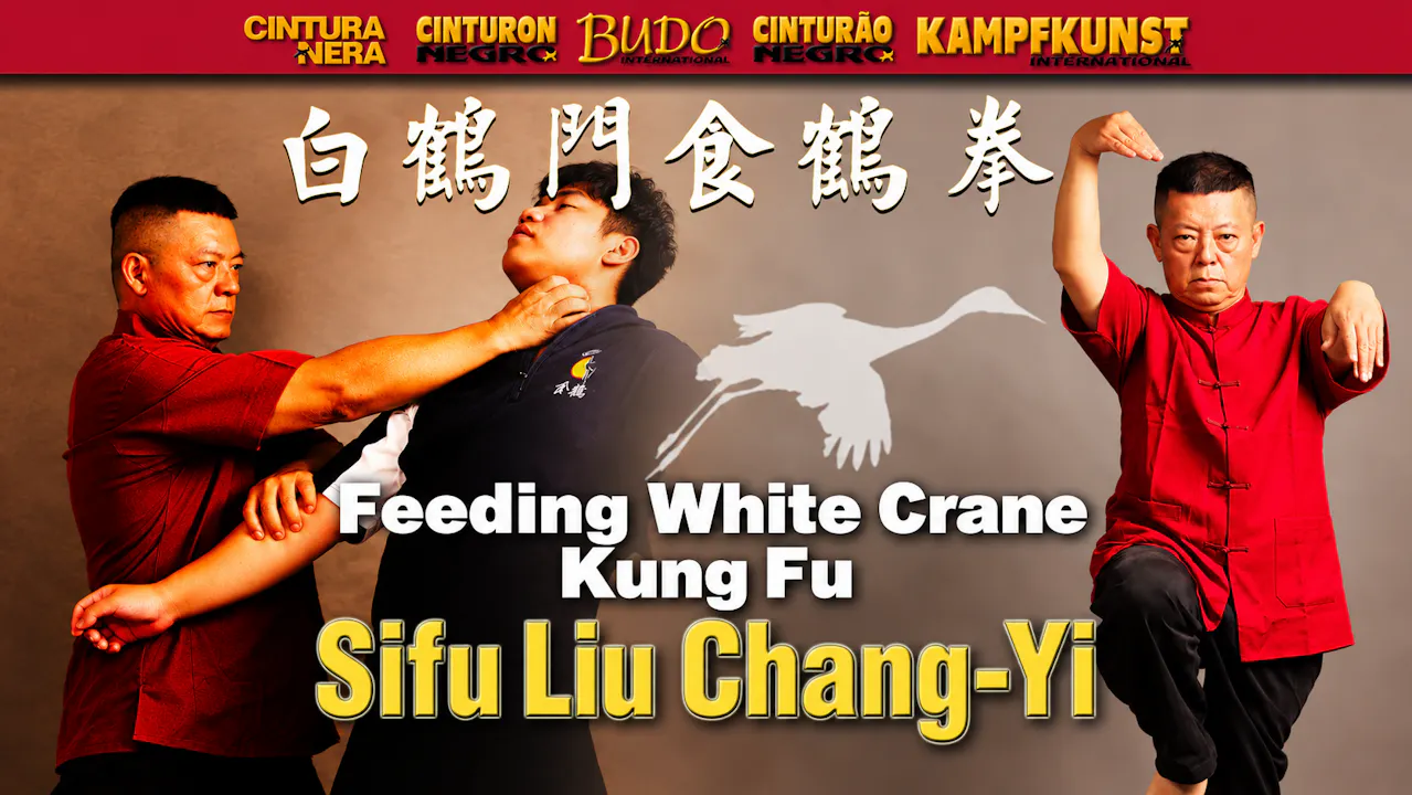 Feeding White Crane Kung Fu by Liu Chang-Yi