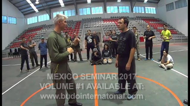 RMA Systema SV 2017 Mexico Seminar Vol 2 with Dmitry Skogorev