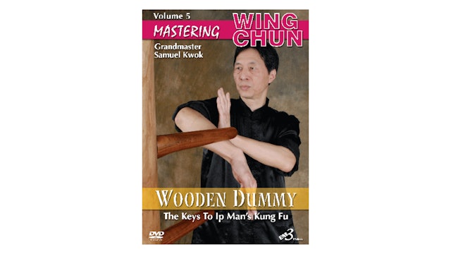Mastering Wing Chun Keys to Ip Man's Kung Fu Vol 5