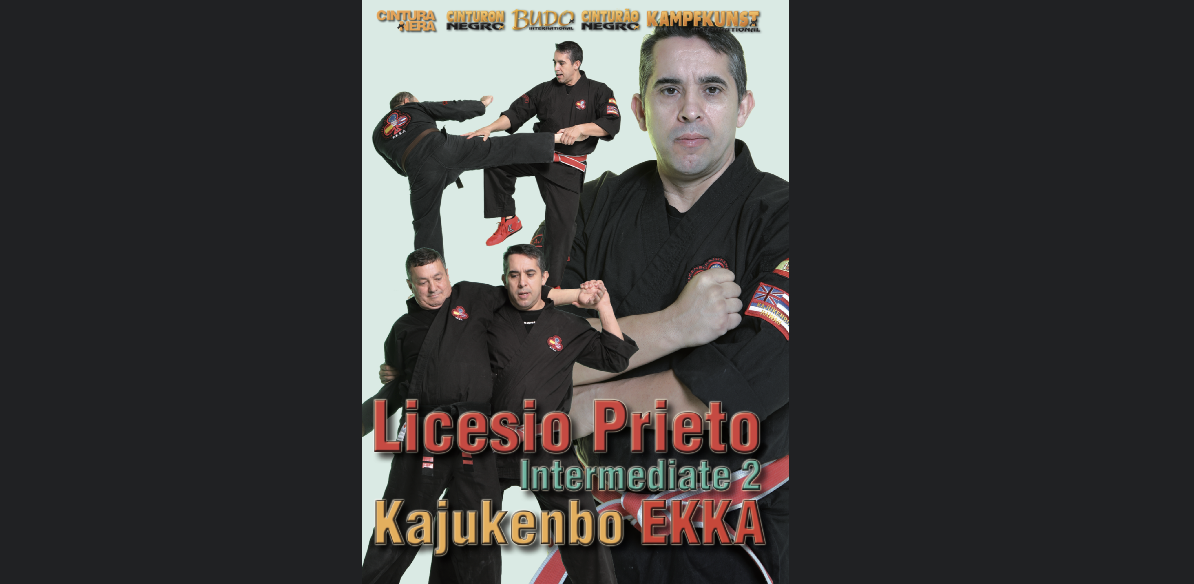 Kajukenbo Essential Intermediate 2 Licesio Prieto