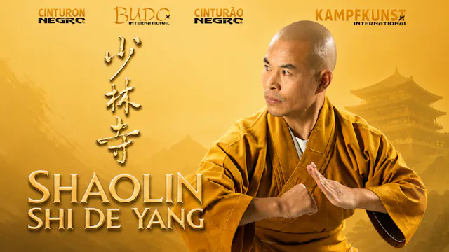 Shaolin Kung-Fu Shi De Yang Interview Shi de Yang