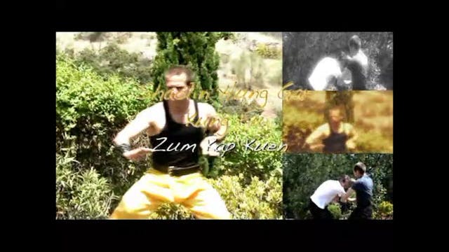 Shaolin Hung Gar Kung Fu: Zum Kap Kuen Form with Martin Sewer