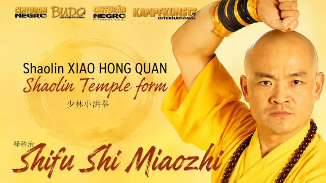 Shaolin Xiao Hong Quan Form Tao Lu by Shi Miaozhi