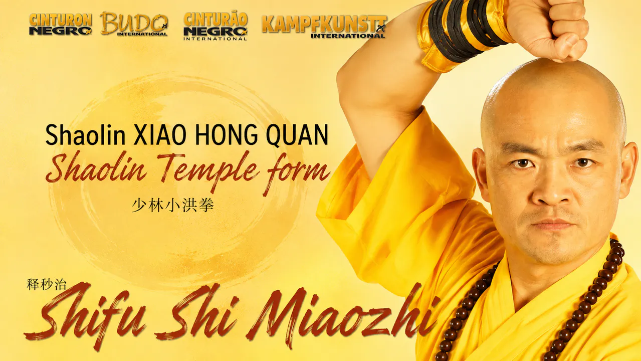 Shaolin Xiao Hong Quan Form Tao Lu by Shi Miaozhi