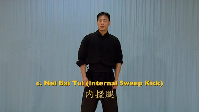 Shaolin Kung Fu Advanced 1.10