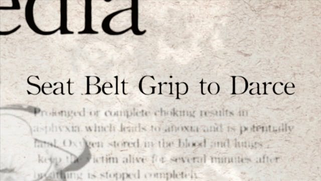 7 Seat Belt Grip to Darce Japanese