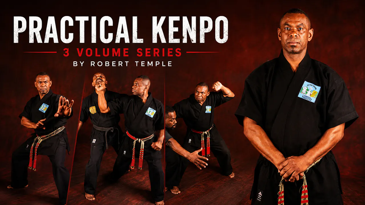Pracitcal Kenpo 3 Vol Series by Robert Temple