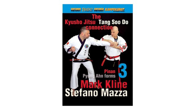 Kyusho Tang Soo Do Con. 3 Pyung Ahn Pinan Kata 3