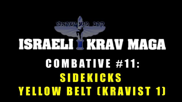 Krav Maga Combatives 2.3