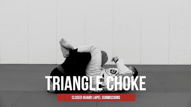 Guard Lapel Submissions 11 - Triangle #1