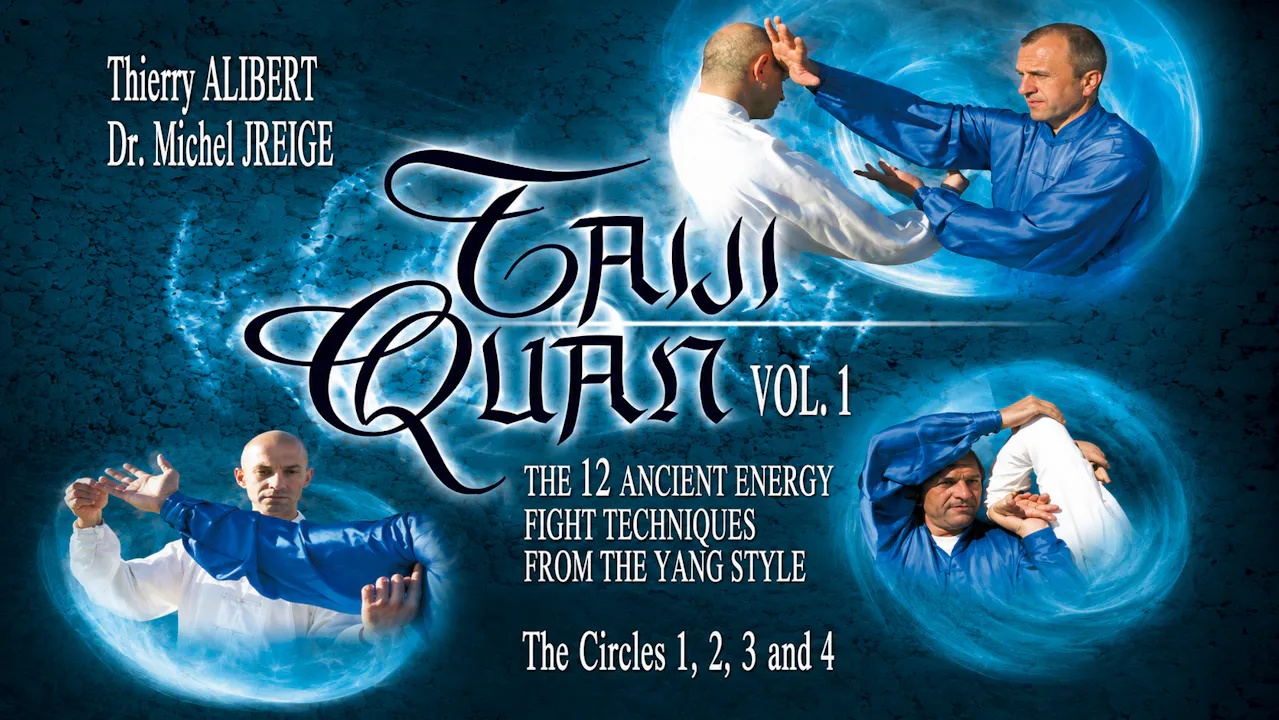 Yang Style Tai Chi 12 Fight Techniques Vol 1