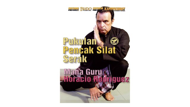 Pukulan Pencak Silat Serak Empty Hands