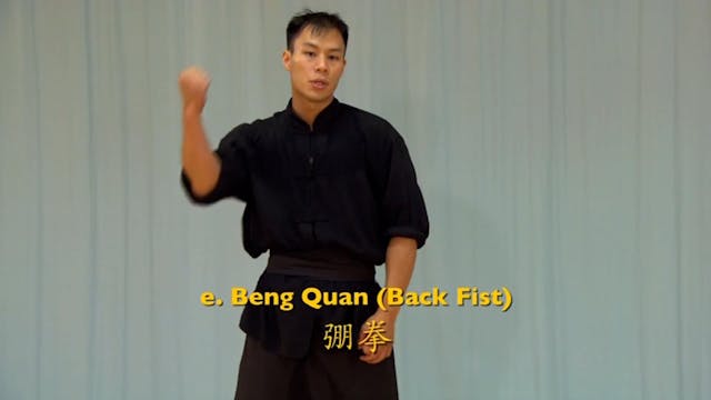 Shaolin Kung Fu Advanced 1.48