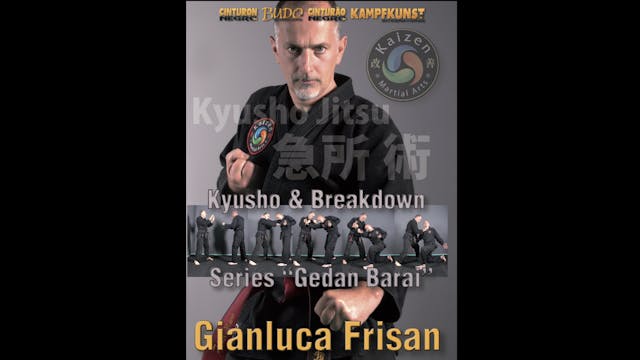 Kyusho Breakdown by Gianluca Frisan