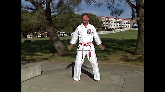 Isshin Ryu Karate Vol 01 by Kim Murray