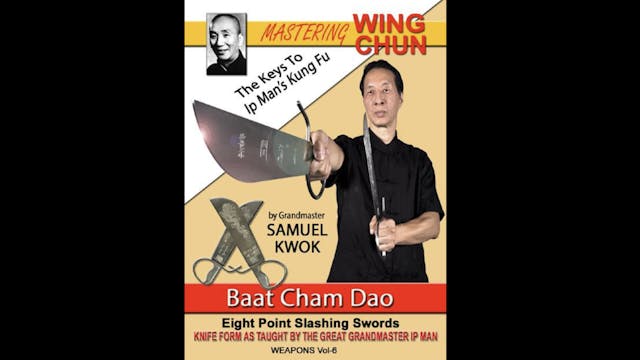 Ip Man's Kung Fu Slashing Swords with Samuel Kwok