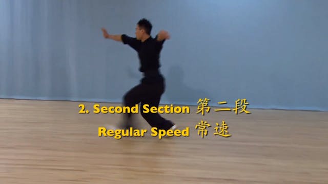 Shaolin Kung Fu Advanced 2 - 76