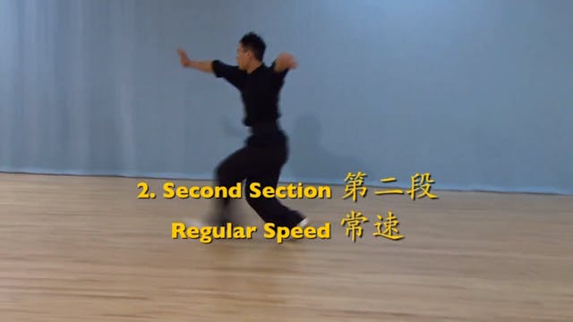 Shaolin Kung Fu Advanced 2 - 76