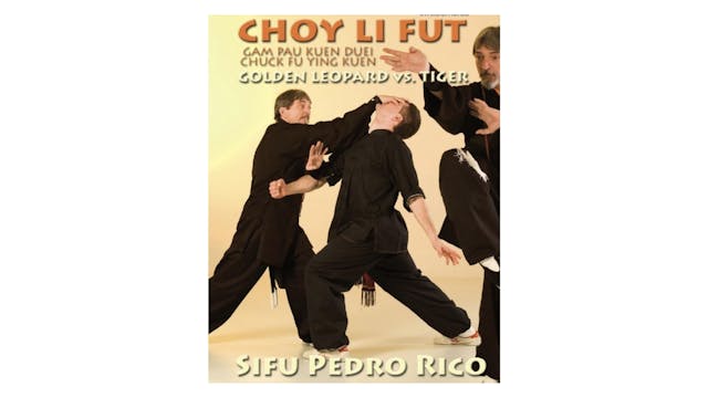 Choy Li Fut Leopard & Tiger Form by Pedro Rico