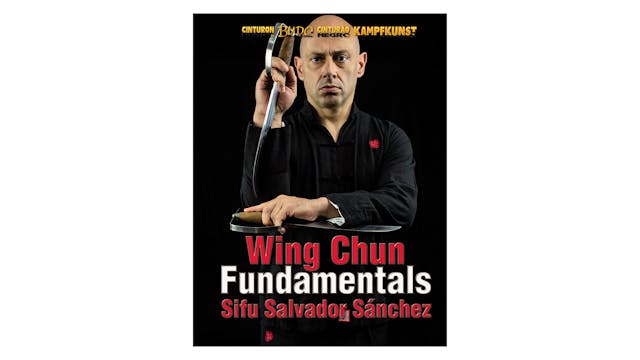 Wing Chun TAOWS Fundamentals with Salvador Sanchez