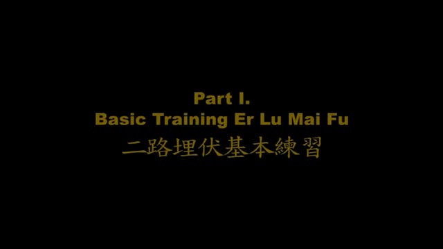 Shaolin Kung Fu Long Fist Int - 30