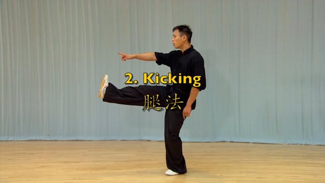 Shaolin Kung Fu Advanced 1.39