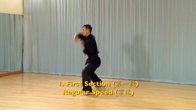 Shaolin Kung Fu Advanced 1.65