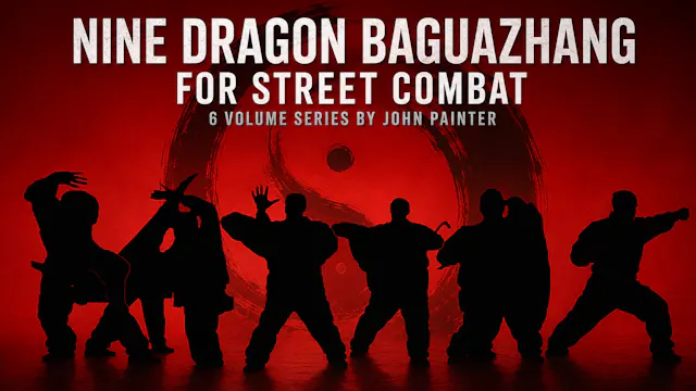 Nine Dragon Baguazhang For Street Combat Series