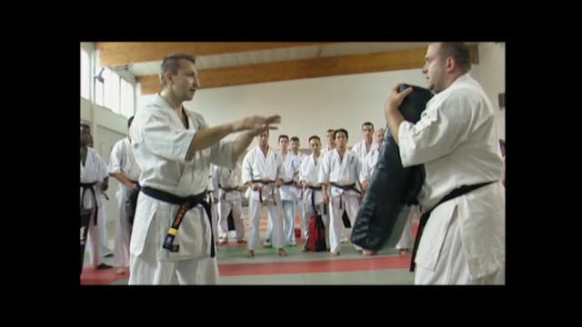 Kyokushinkai Karate Training DVD201