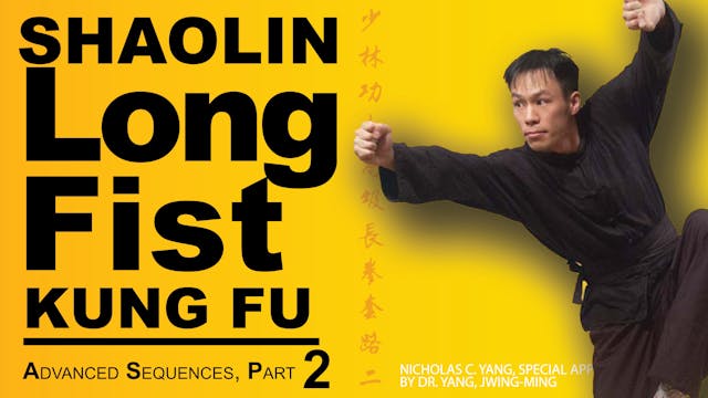 Shaolin Long Fist Kung Fu Advanced 2