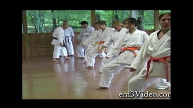 Shotokan Masters with Shunsuke Takahashi