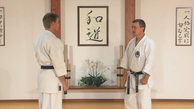 Traditional Wado Ryu Karate-Do Vol 3 Kumite VPM-41