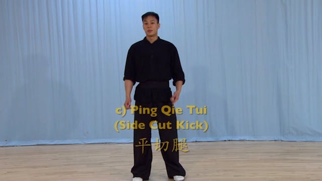 Shaolin Kung Fu Advanced 2 - 54