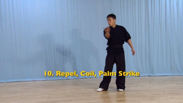 Shaolin Kung Fu Advanced 2 - 73