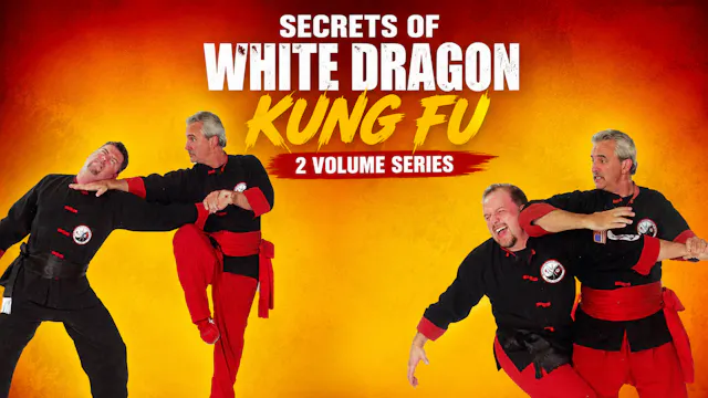 Secrets of White Dragon Kung Fu 2 Vol Series