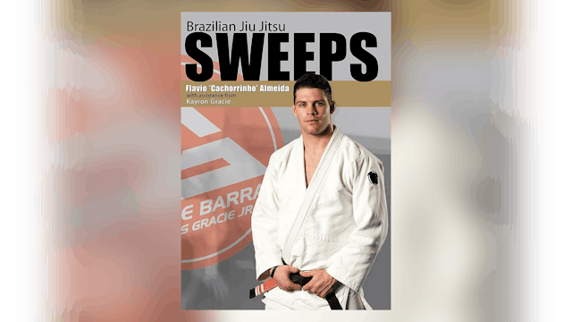 BJJ Sweeps by Flavio Almeida 