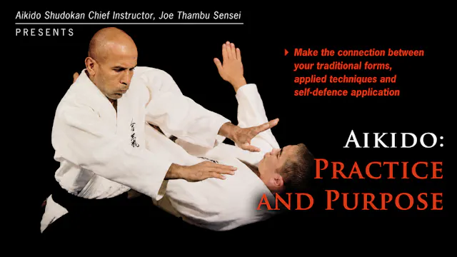 Aikido: Practice & Purpose by Joe Thambu
