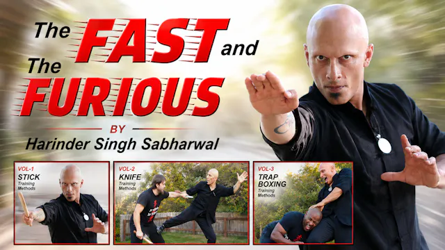 Fast & the Furious by Harinder Singh Sabharwal