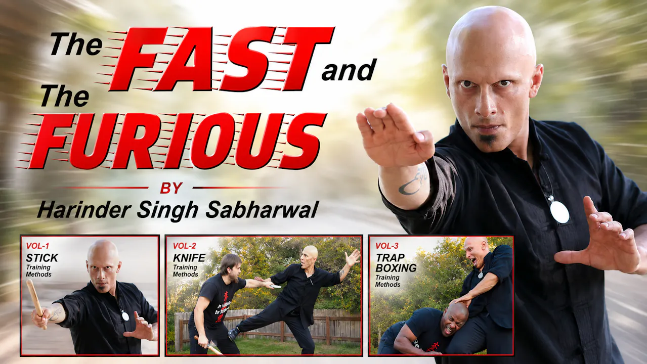 Fast & the Furious by Harinder Singh Sabharwal