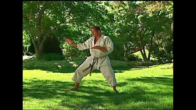 Masterclass Shotokan Katas Vol 1 by Michael Berger