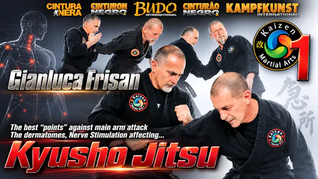 Kyusho Jitsu Nerve Stimulation 1 w Gianluca Frisan
