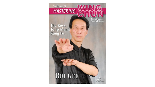 Mastering Wing Chun Keys to Ip Man's Kung Fu Vol 3