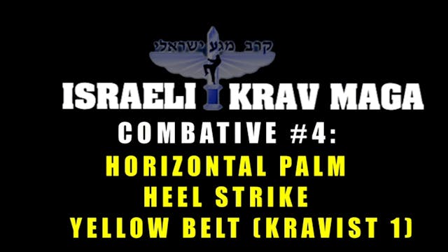 Krav Maga Combatives 1.7