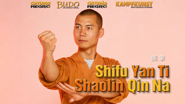 Shaolin Qin Na with Shi Yan Ti