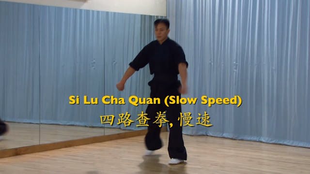 Shaolin Kung Fu Advanced 2 - 37